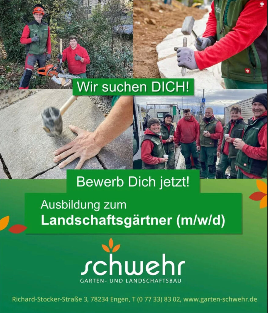 schwehr Instafeed Dummy01