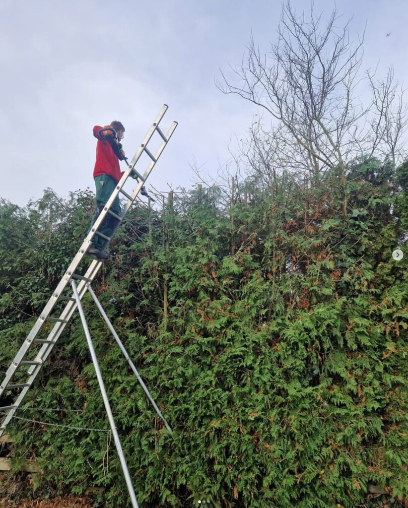 schwehr Instafeed Dummy03